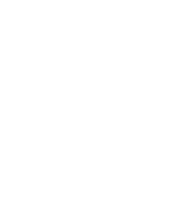 dinis sanitaire logo blanc